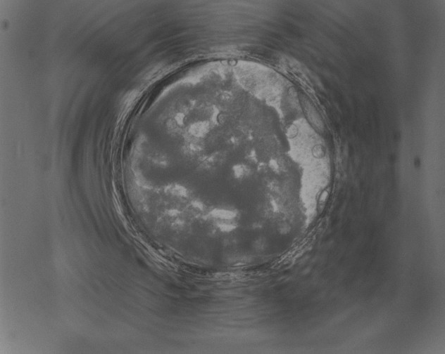 X0000078290145200612011817