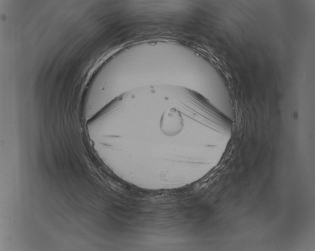 X0000078290146200612011817