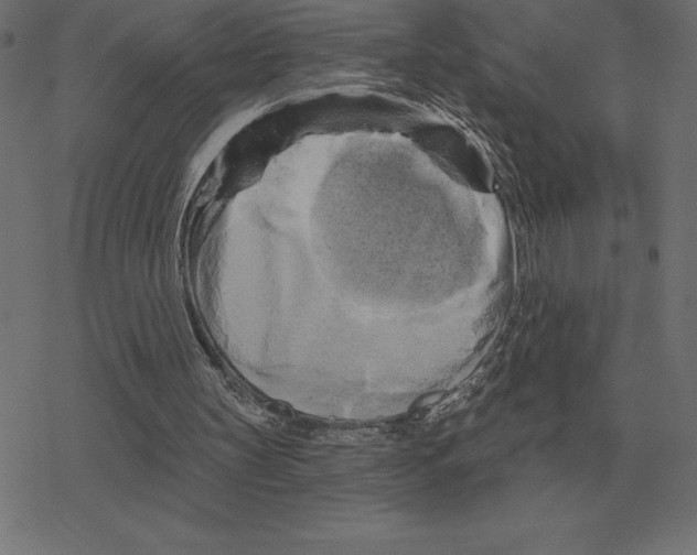 X0000078290147200612011818