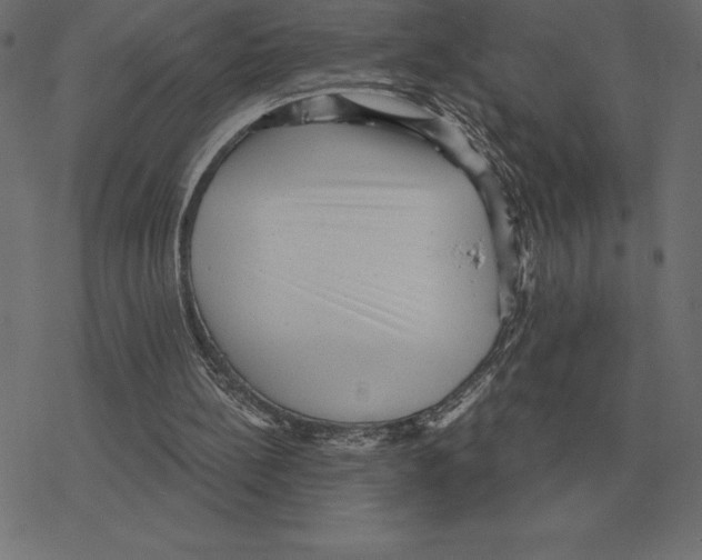 X0000078290148200612011818