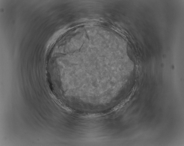 X0000078290149200612011818