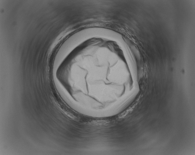 X0000078290150200612011818