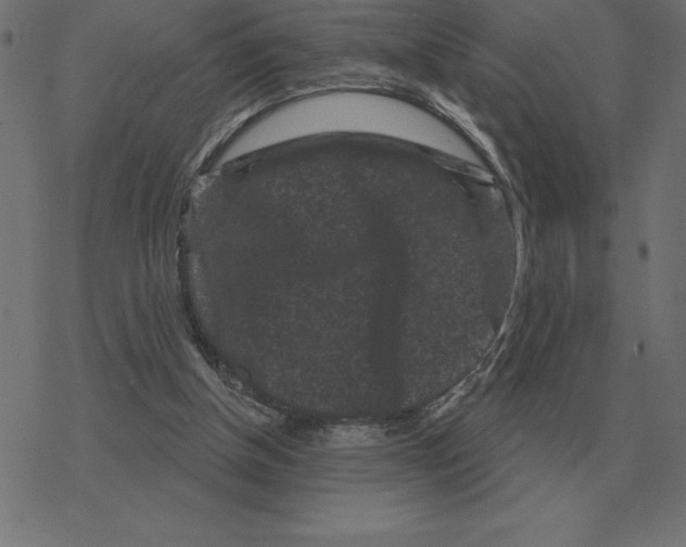 X0000078290154200612011818