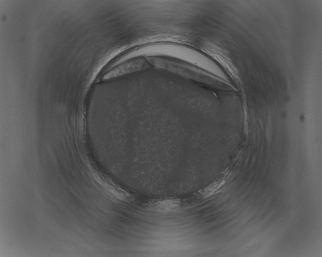 X0000078290156200612011818