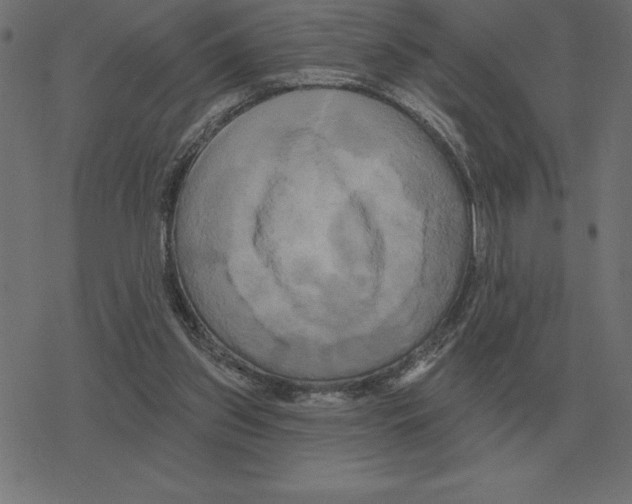 X0000078290157200612011818