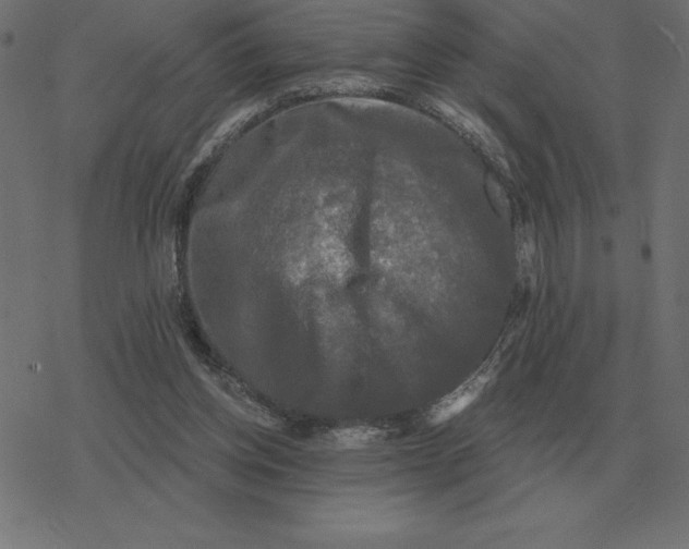 X0000078290158200612011818