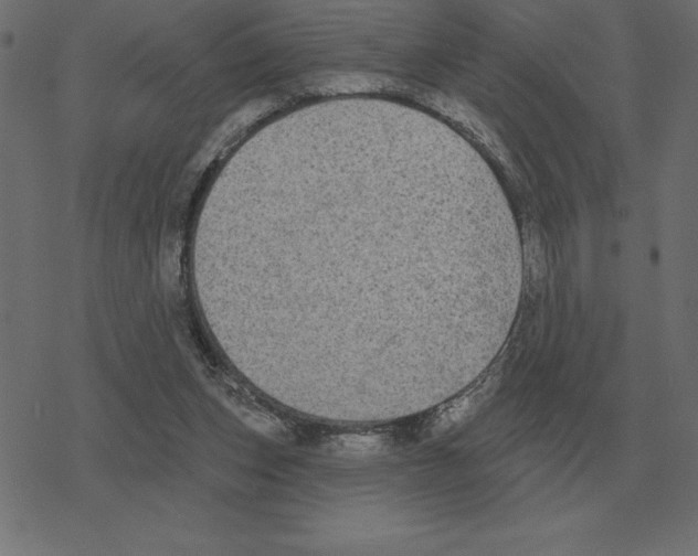 X0000078290159200612011818