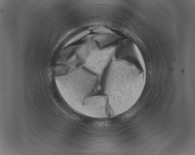 X0000078290160200612011818