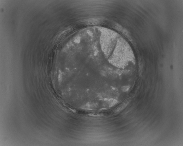 X0000078290161200612011818