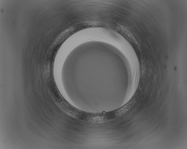 X0000078290163200612011818