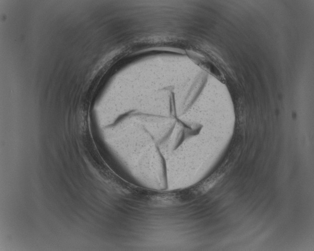 X0000078290164200612011818