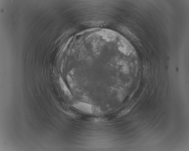 X0000078290165200612011818