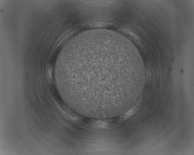 X0000078290166200612011818