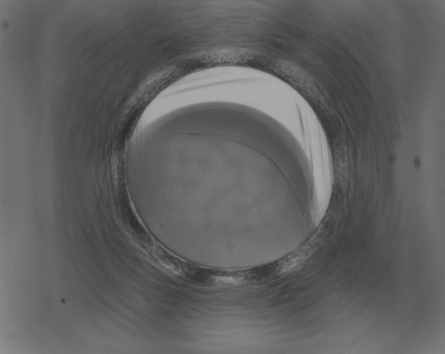 X0000078290167200612011818