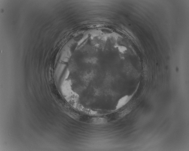 X0000078290169200612011818