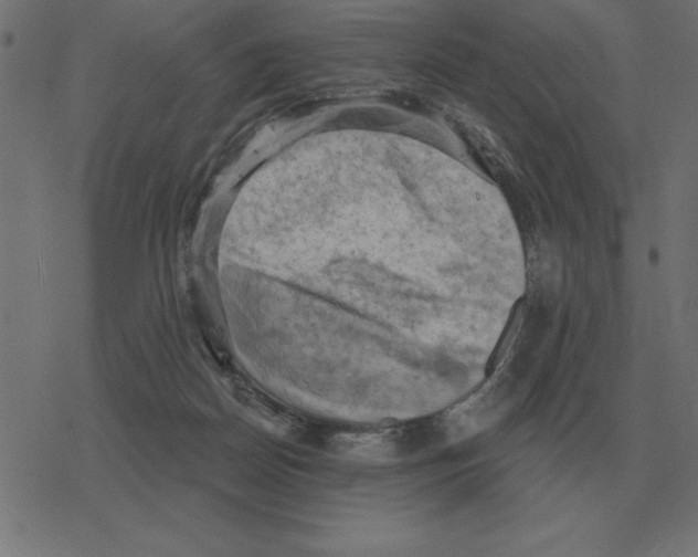 X0000078290170200612011818