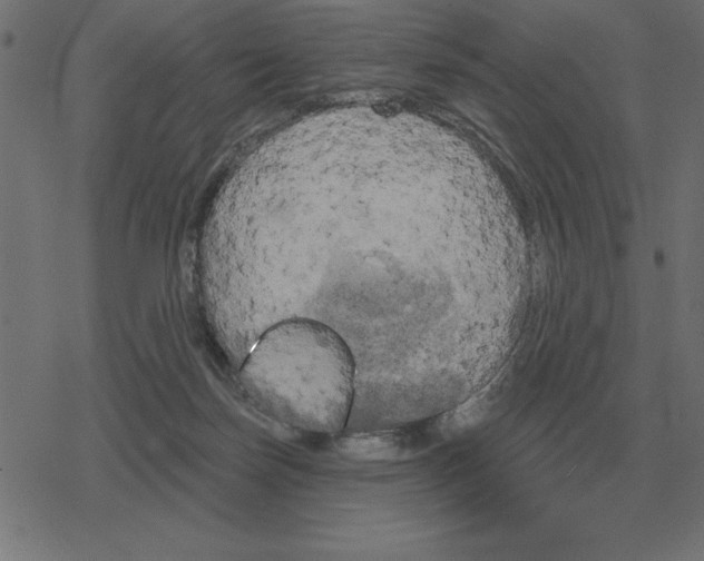 X0000078290171200612011818