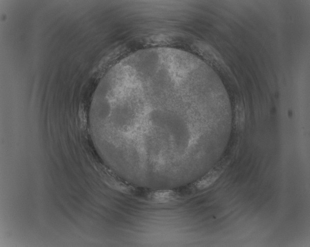 X0000078290173200612011818