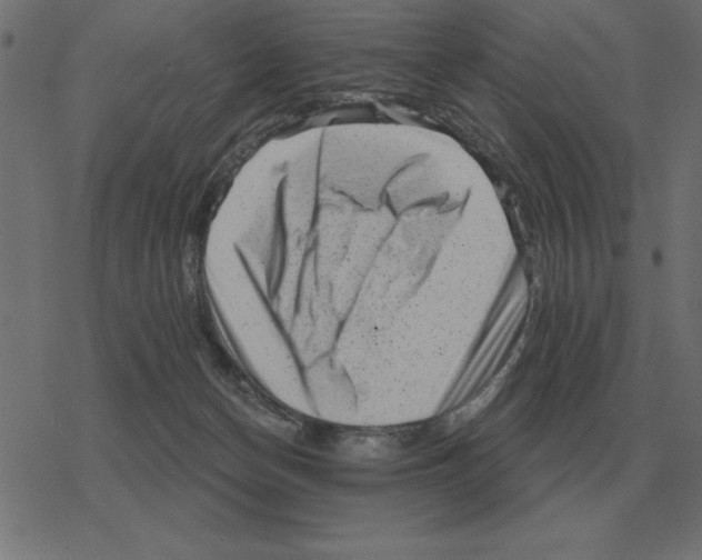 X0000078290174200612011818