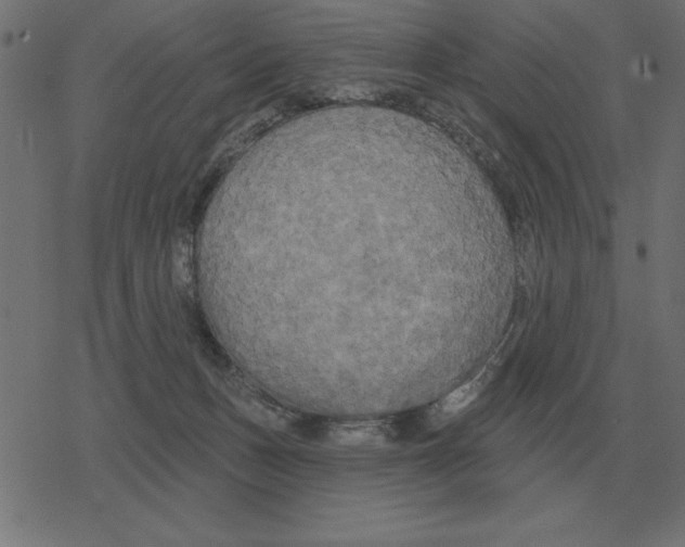 X0000078290175200612011818