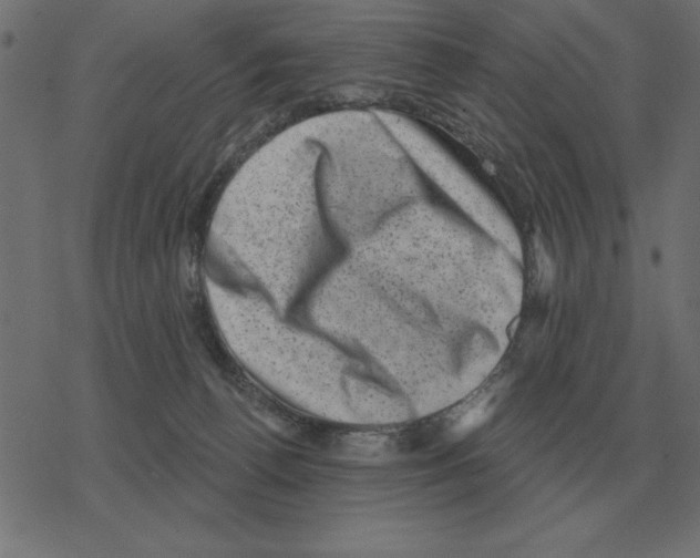 X0000078290176200612011818