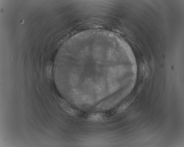 X0000078290177200612011818