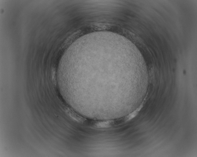 X0000078290178200612011818