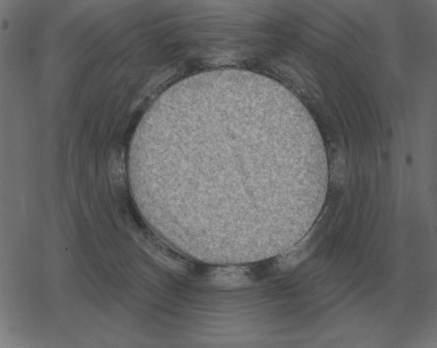 X0000078290179200612011818