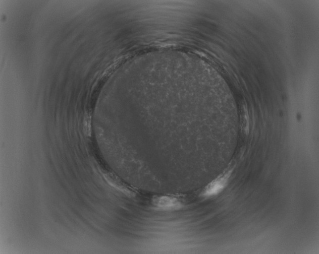 X0000078290180200612011818