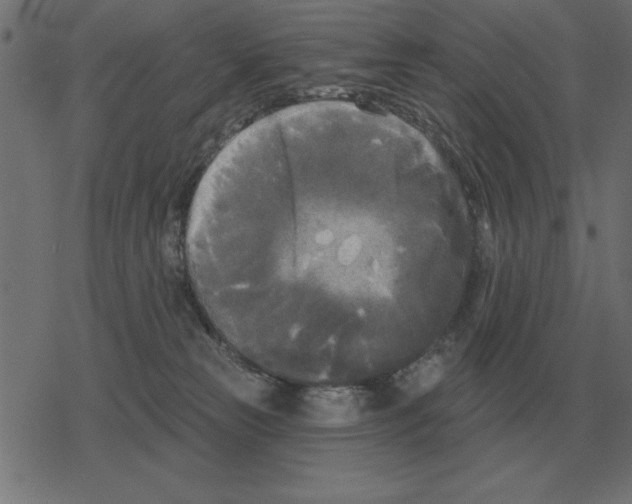 X0000078290181200612011818