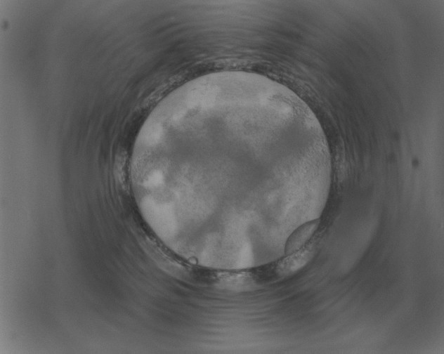 X0000078290185200612011818