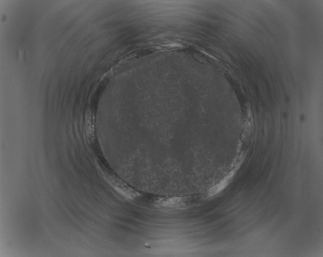 X0000078290186200612011818