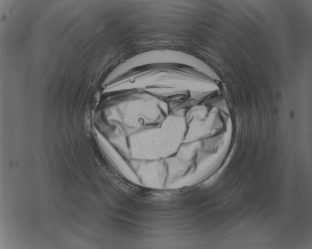 X0000078290190200612011818