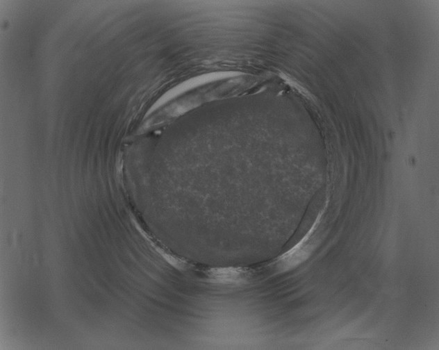 X0000078290192200612011818