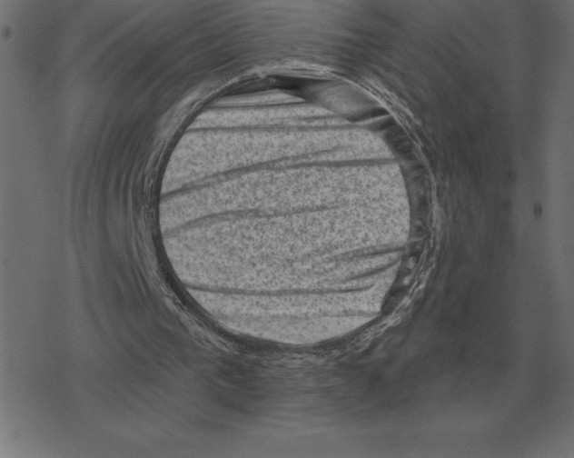 X0000078290193200612011817