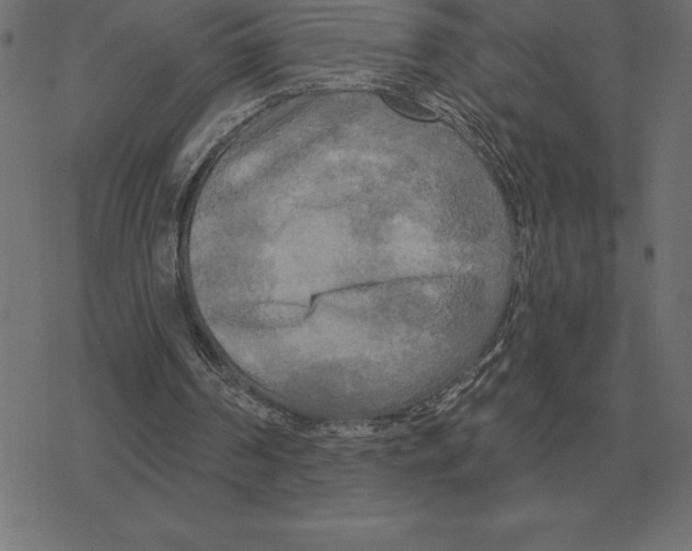 X0000078290194200612011817