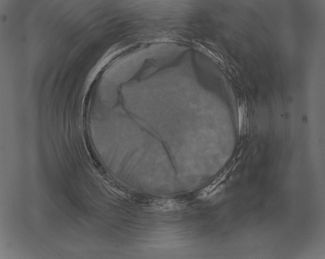 X0000078290195200612011817