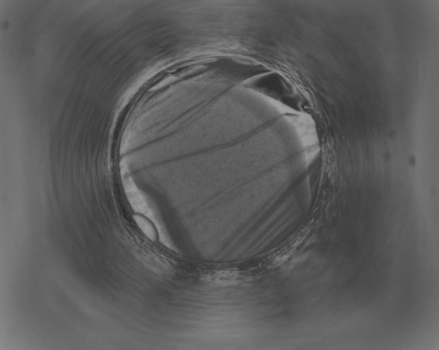 X0000078290196200612011817