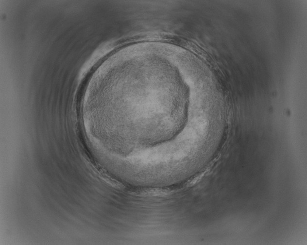 X0000078290198200612011817