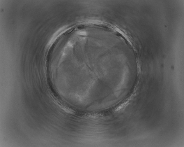 X0000078290199200612011817