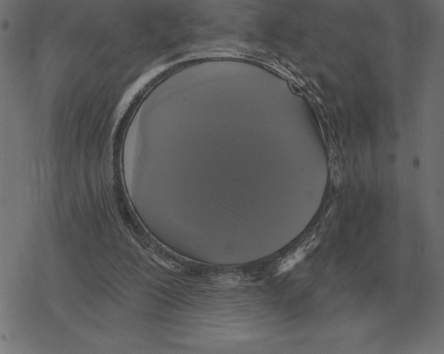 X0000078290200200612011817