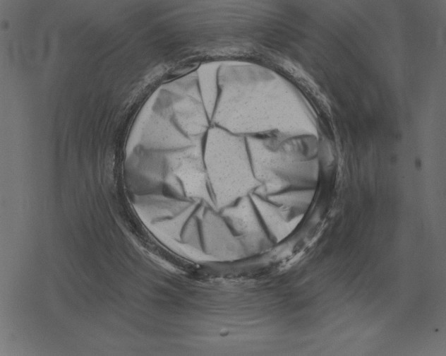 X0000078290201200612011817