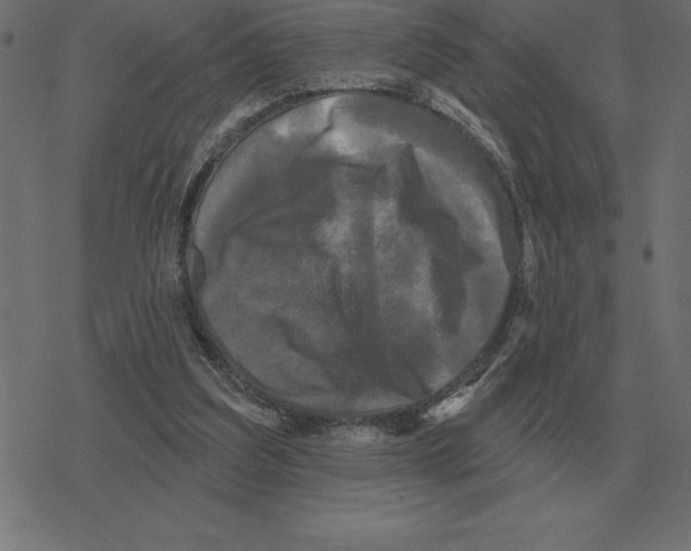 X0000078290203200612011817