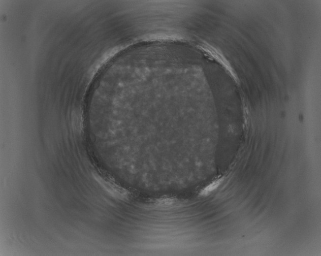 X0000078290204200612011817