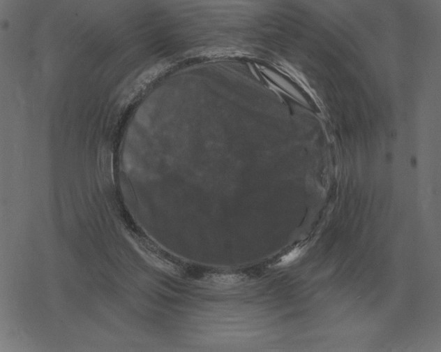 X0000078290205200612011817