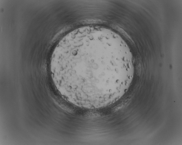 X0000078290207200612011817