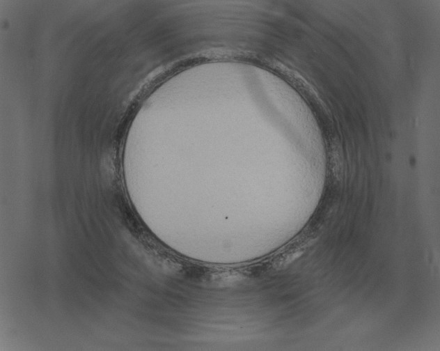 X0000078290208200612011817