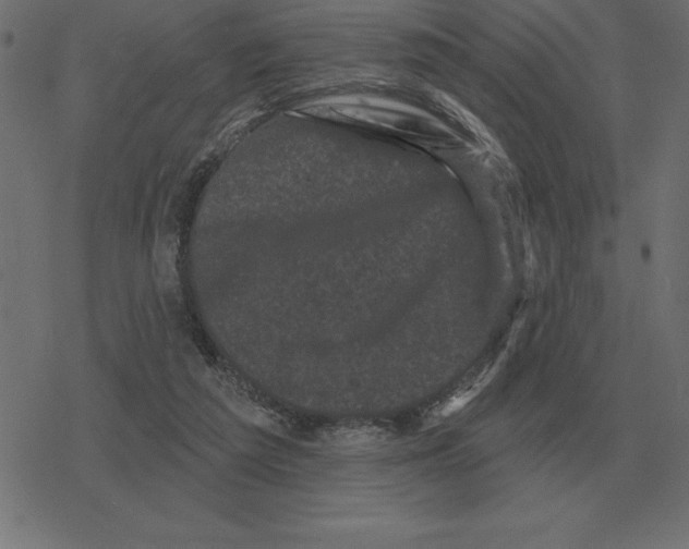 X0000078290209200612011817