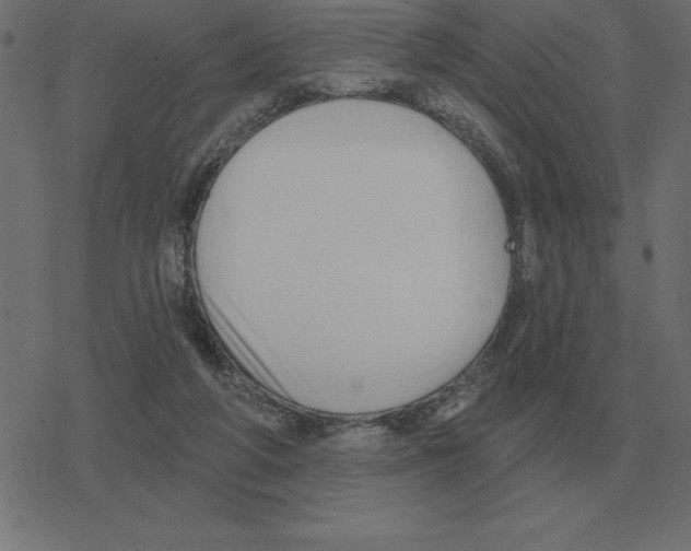 X0000078290210200612011817