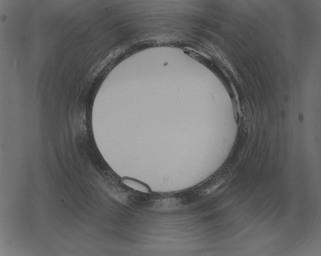 X0000078290212200612011817